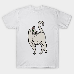 Begging for Pettings--Cream Cat Style T-Shirt